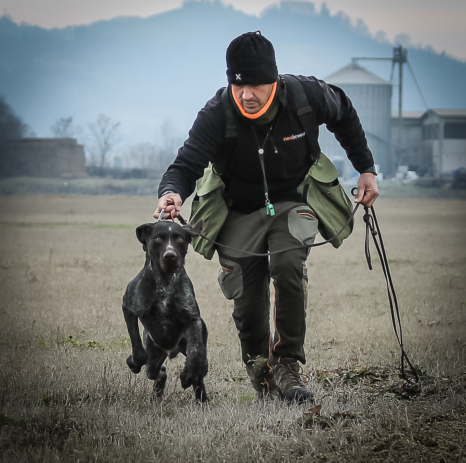 addestramento cani da caccia